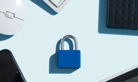 Solide Basis schaffen